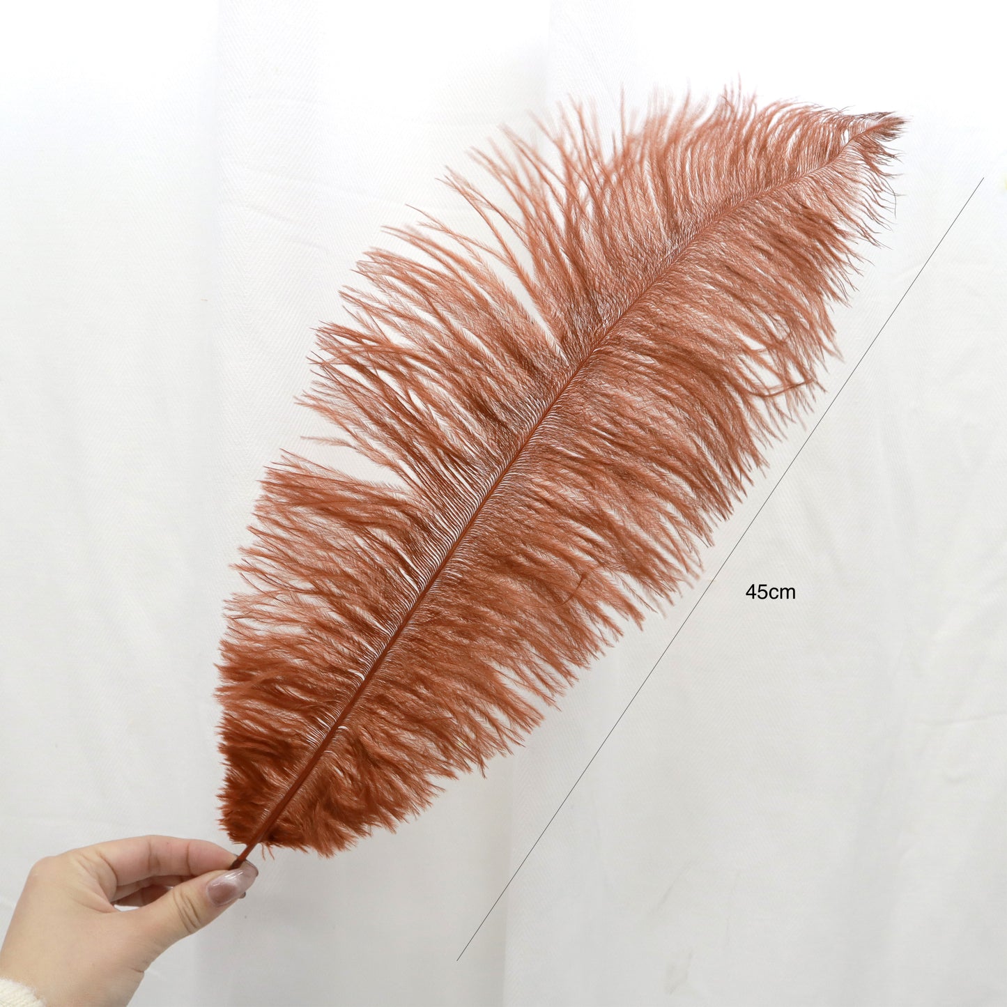 5 pcs Ostrich Feathers Brown