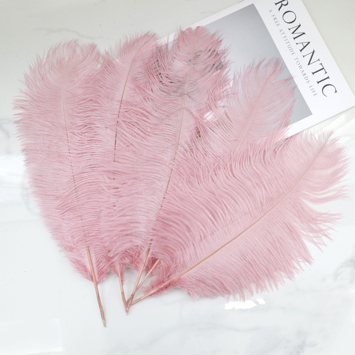 5 pcs Ostrich Feathers Crepe Pink
