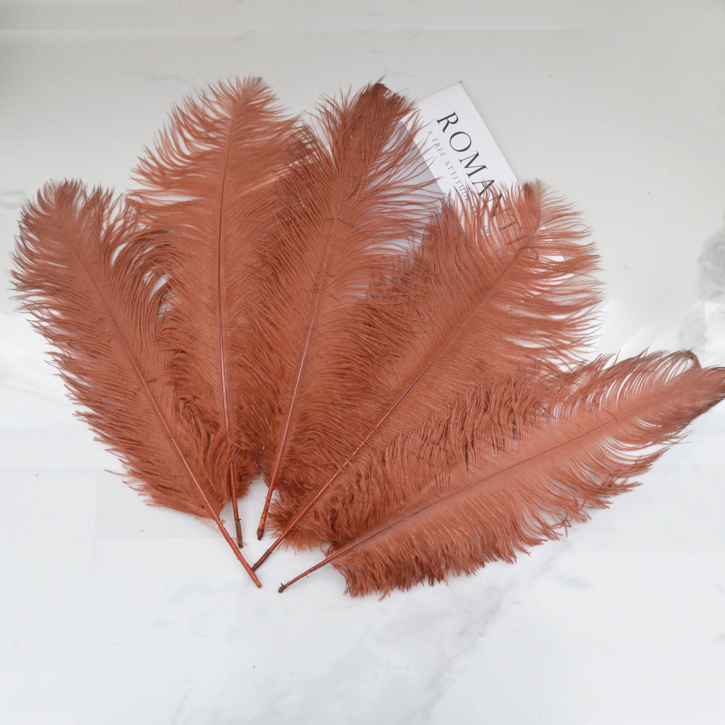 5 pcs Ostrich Feathers Brown