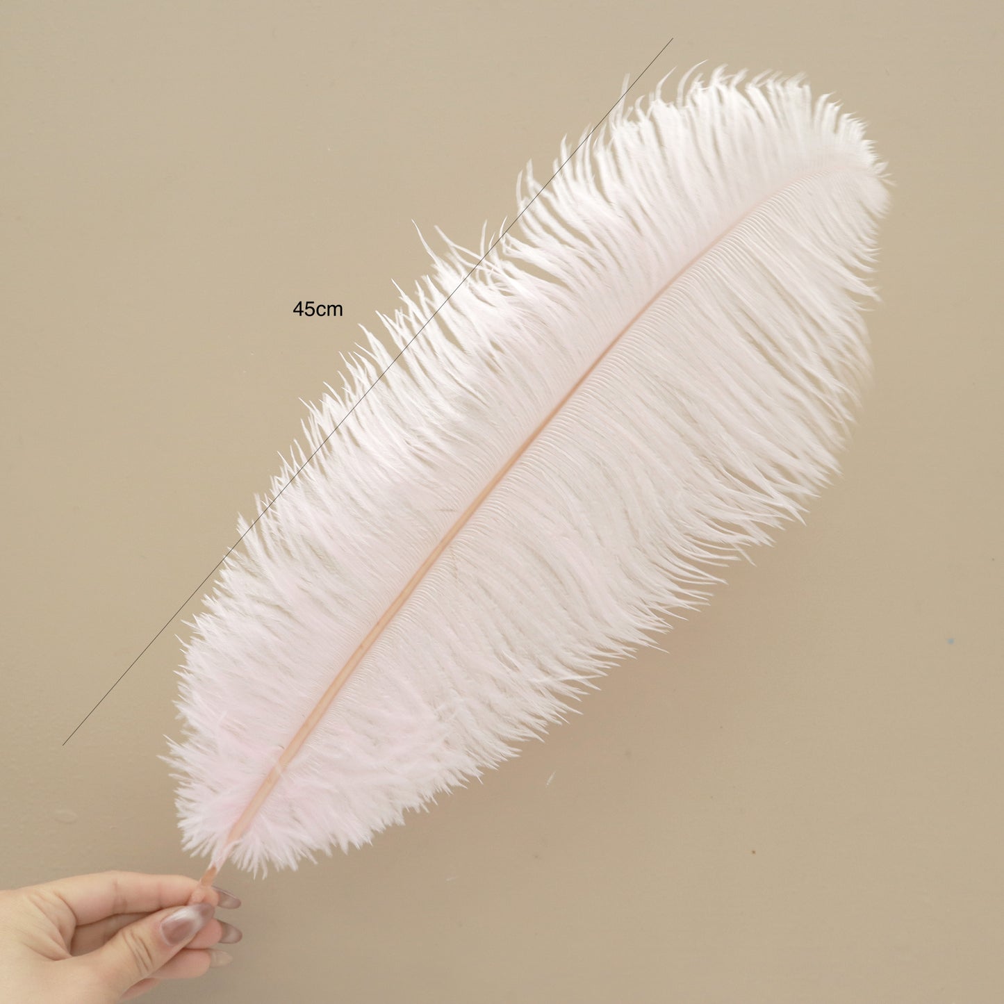 5 pcs Ostrich Feathers Baby Pink
