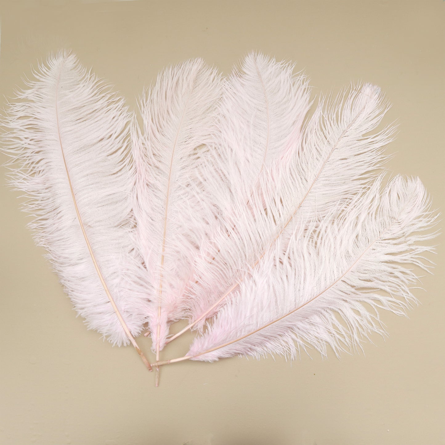 5 pcs Ostrich Feathers Baby Pink