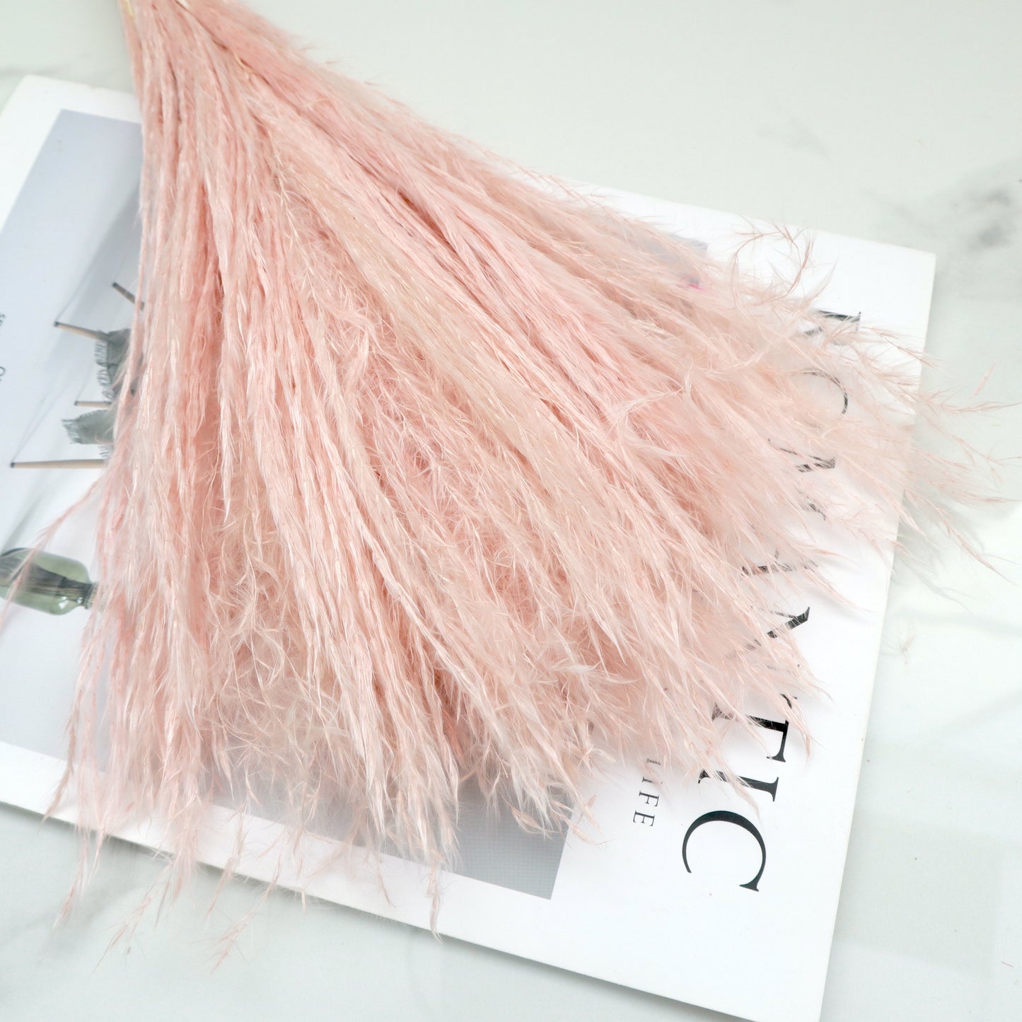 Soft Horsetail Crepe Pink