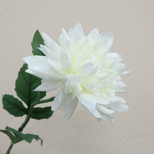 Artificial Silk Wild Dahlia White