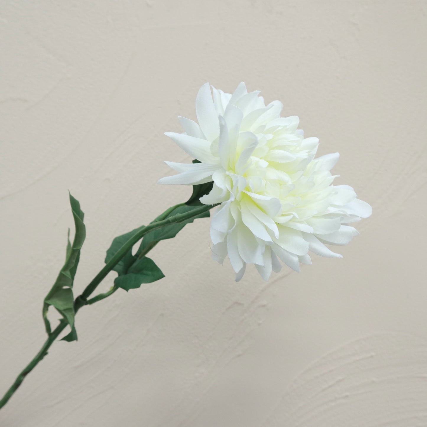 Artificial Silk Wild Dahlia White