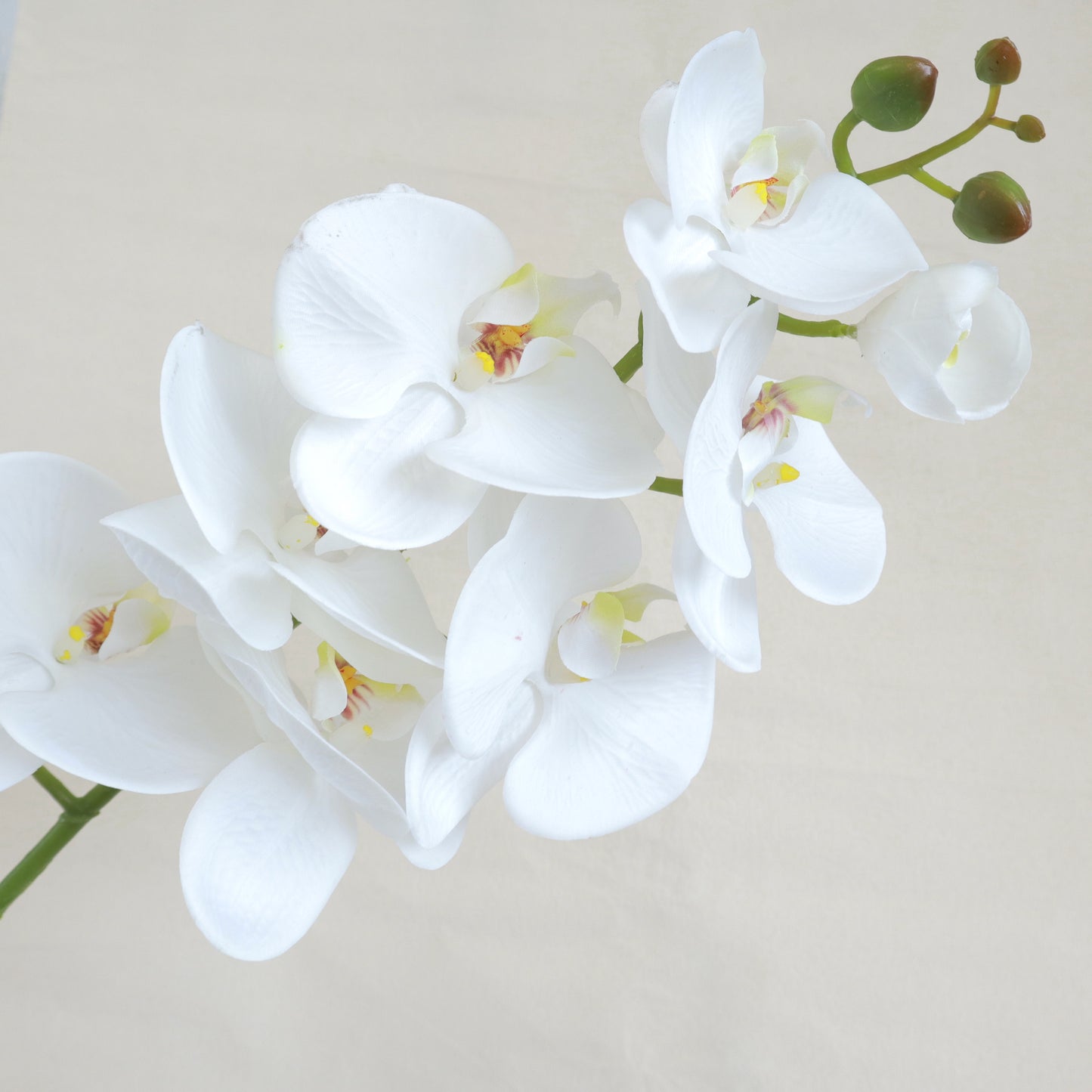 Artificial Real Touch Orchid (27)