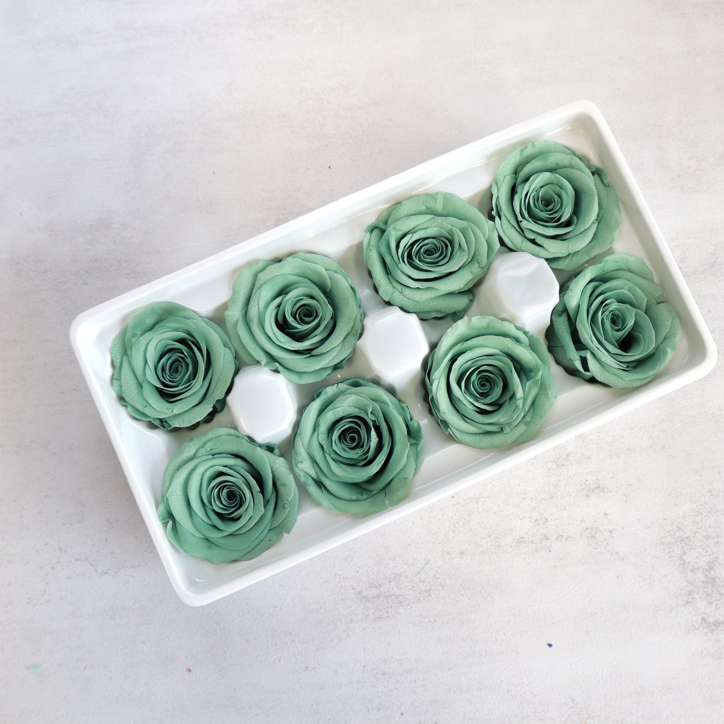 Rose Pistachio Green 8 Heads