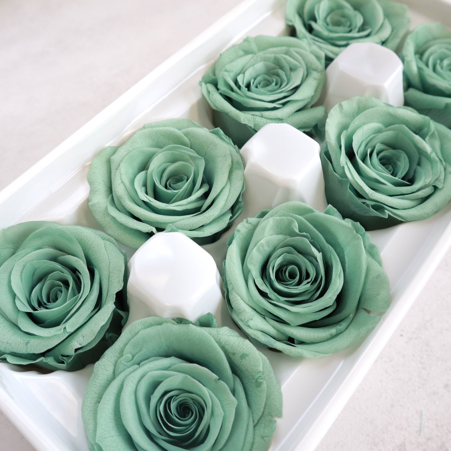 Rose Pistachio Green 8 Heads