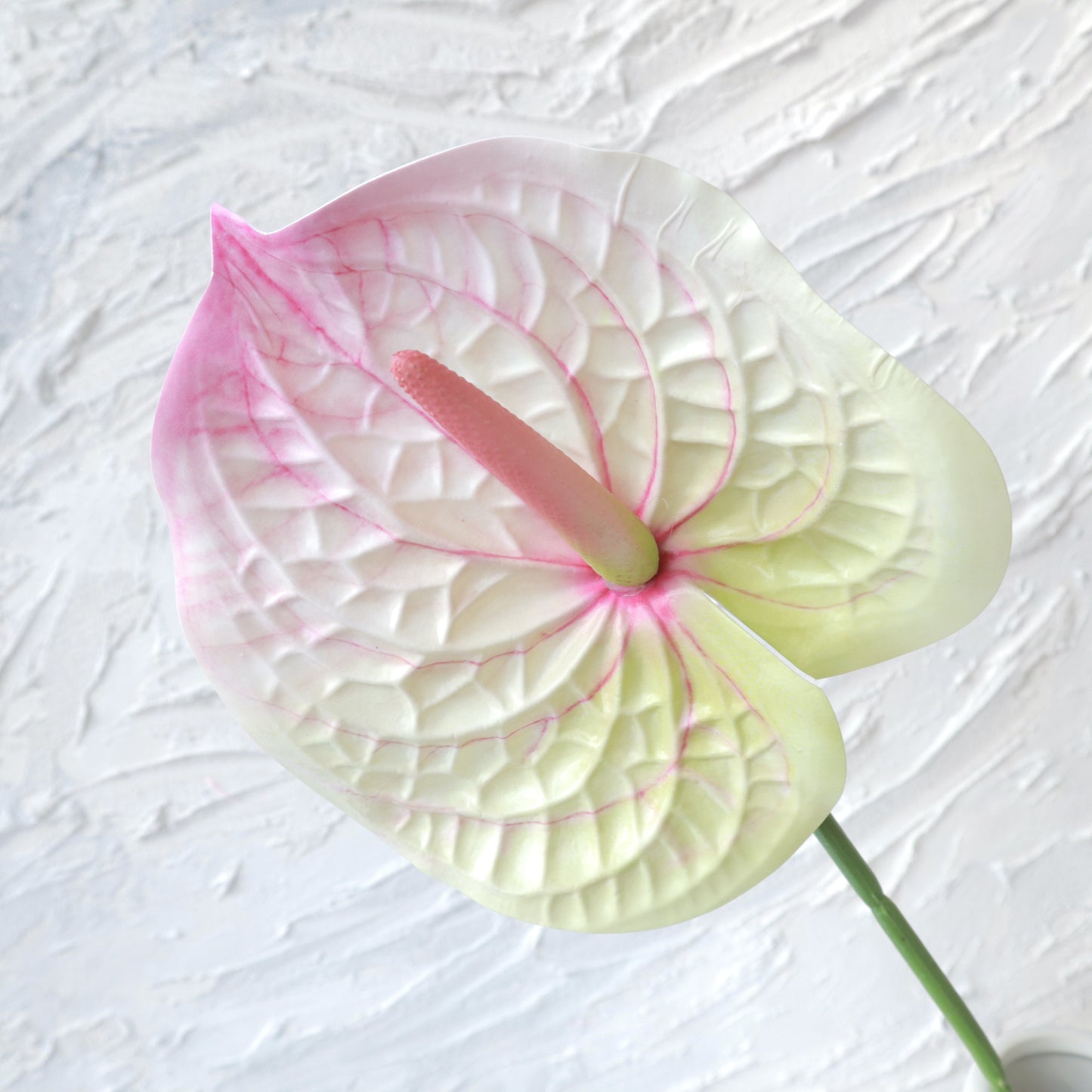 Artificial Anthurium Gradient Pink