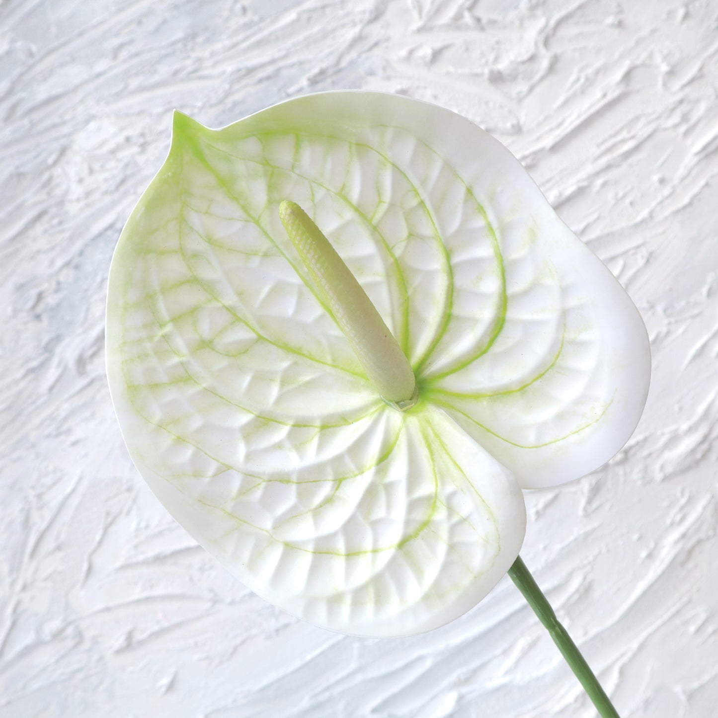 Artificial Anthurium White