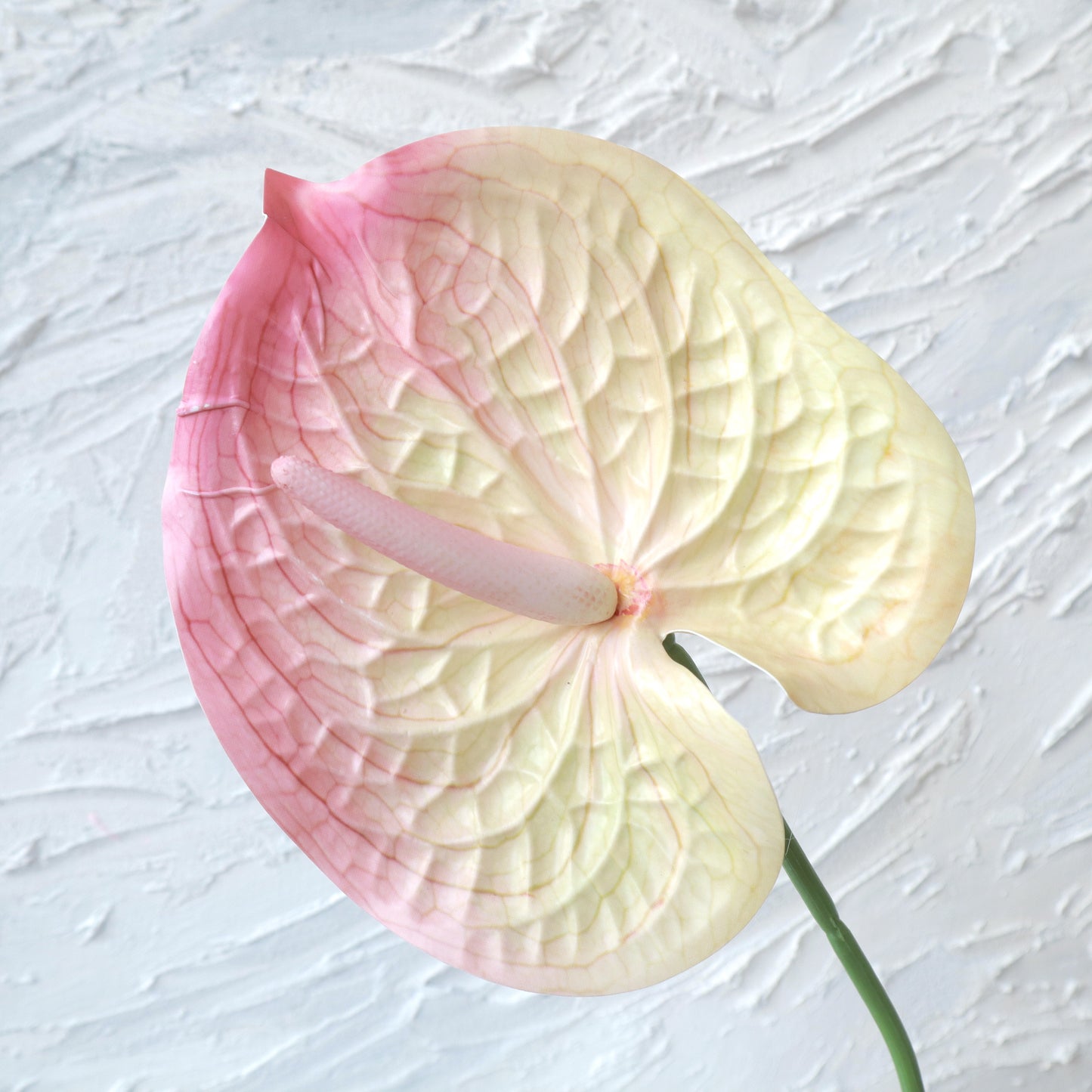 Artificial Anthurium Peach