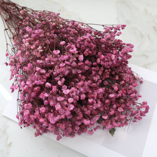 Baby's Breath Mauve