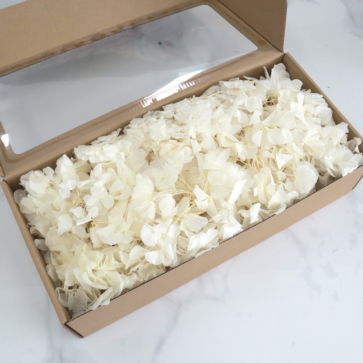 Hydrangea Bigleaf 100g Box Off White