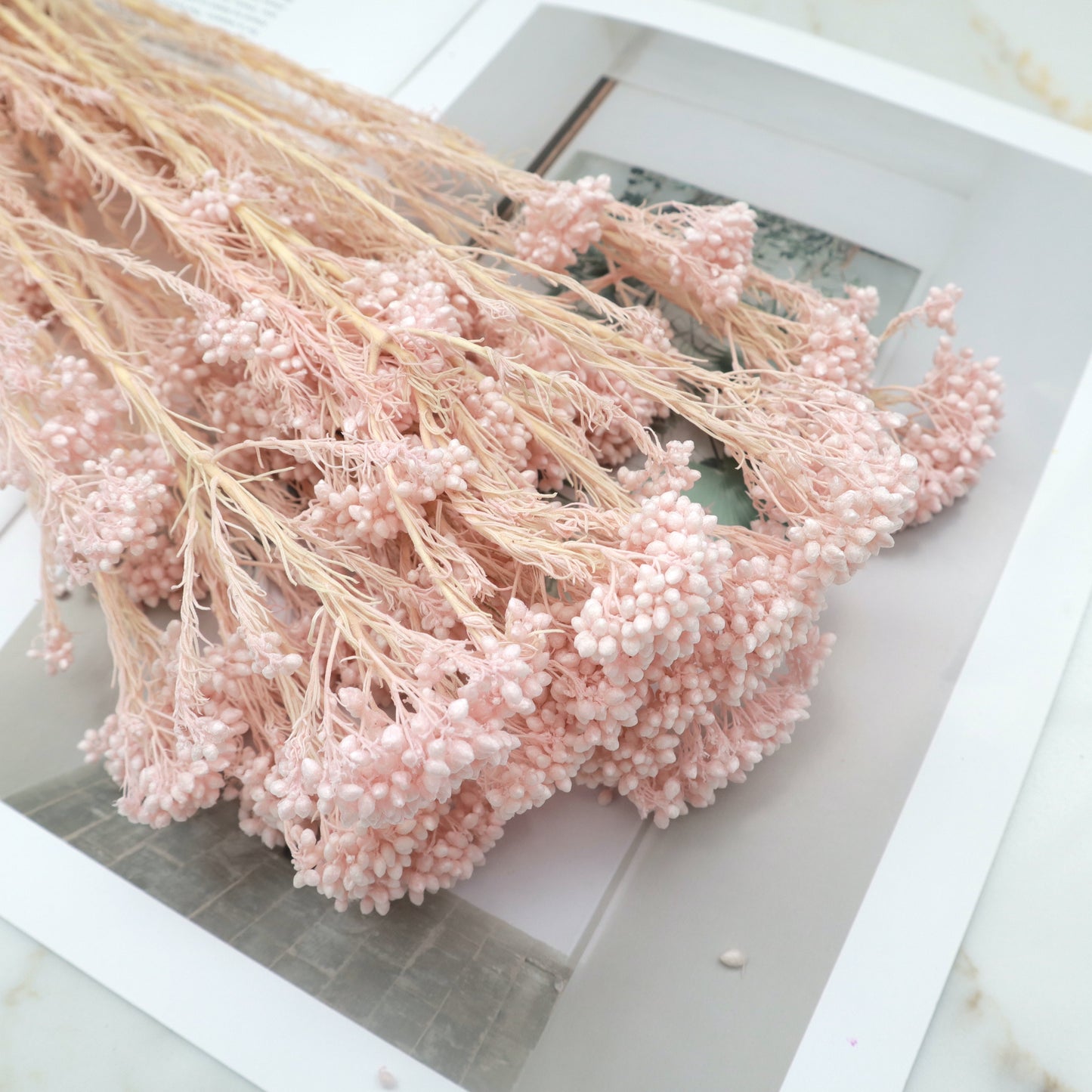 Rice Flower Pink