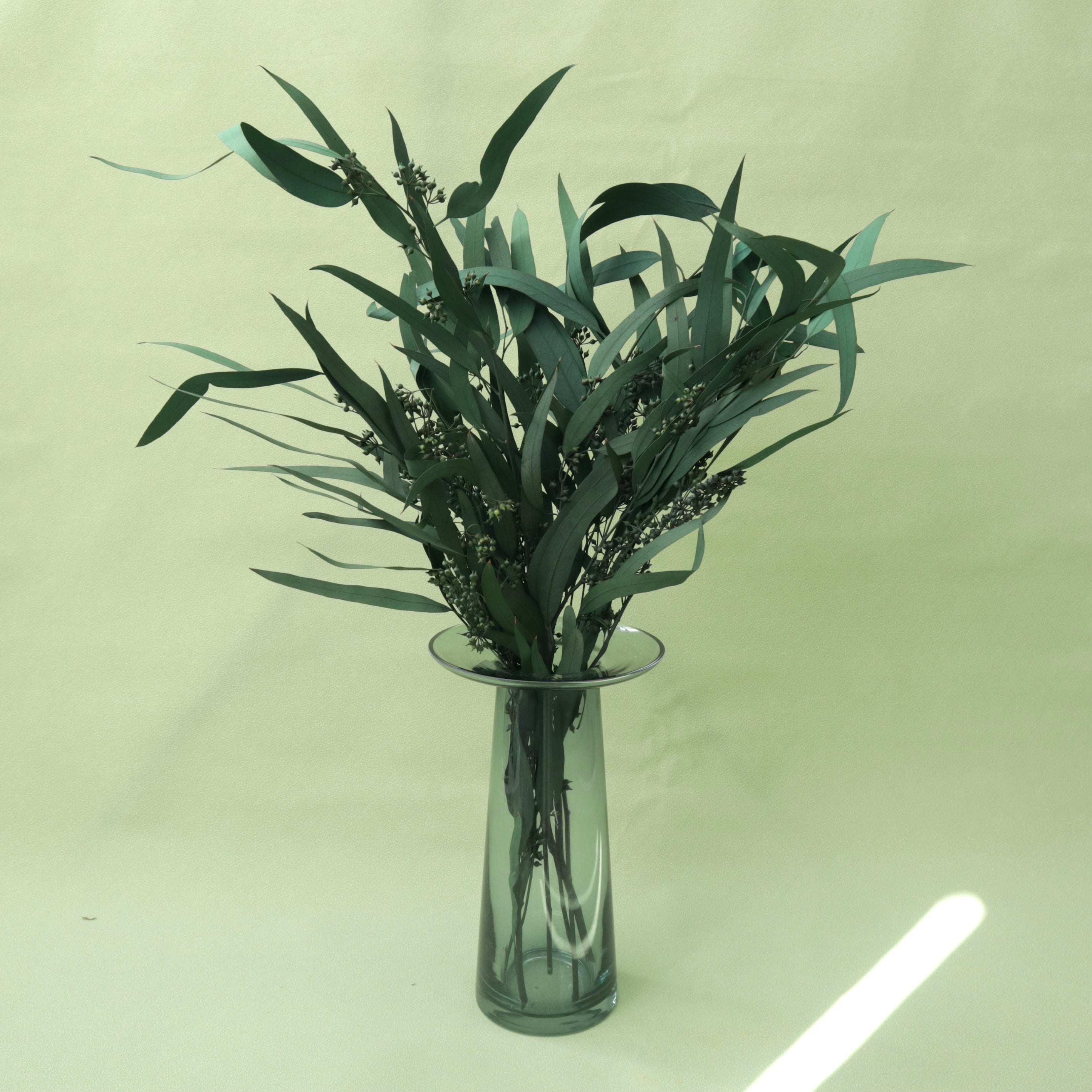 Seeded Gum – Floral Forest Wholesale