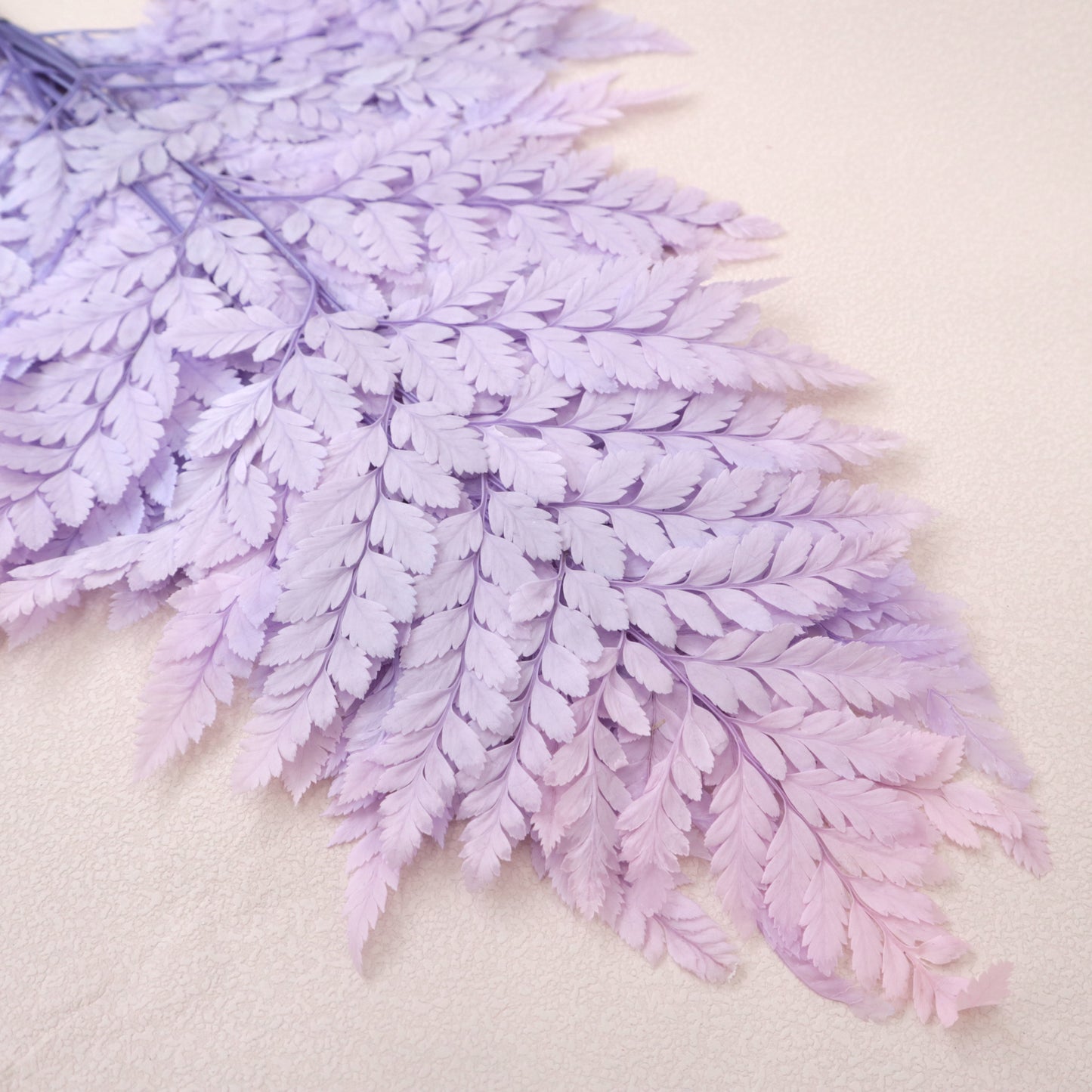 Leather Fern Small Purple