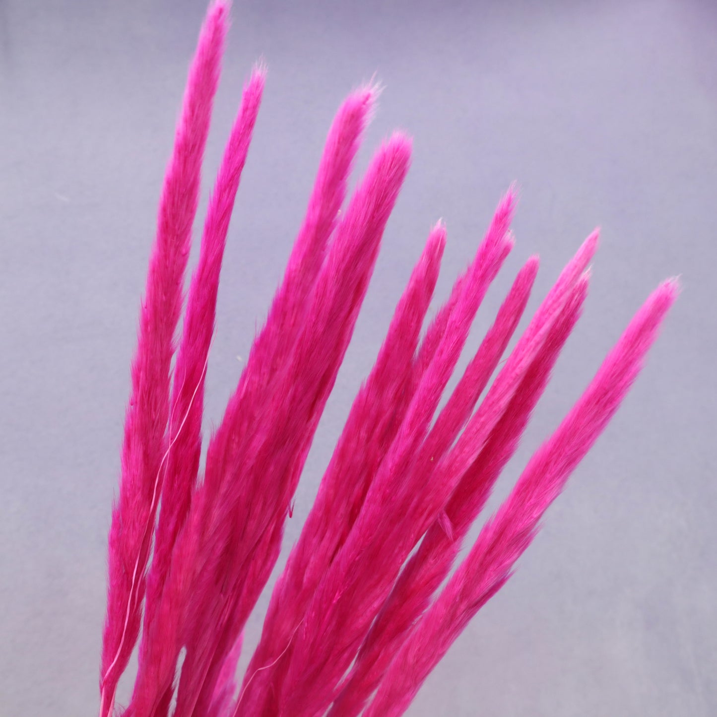 Fluffy Stick Magenta