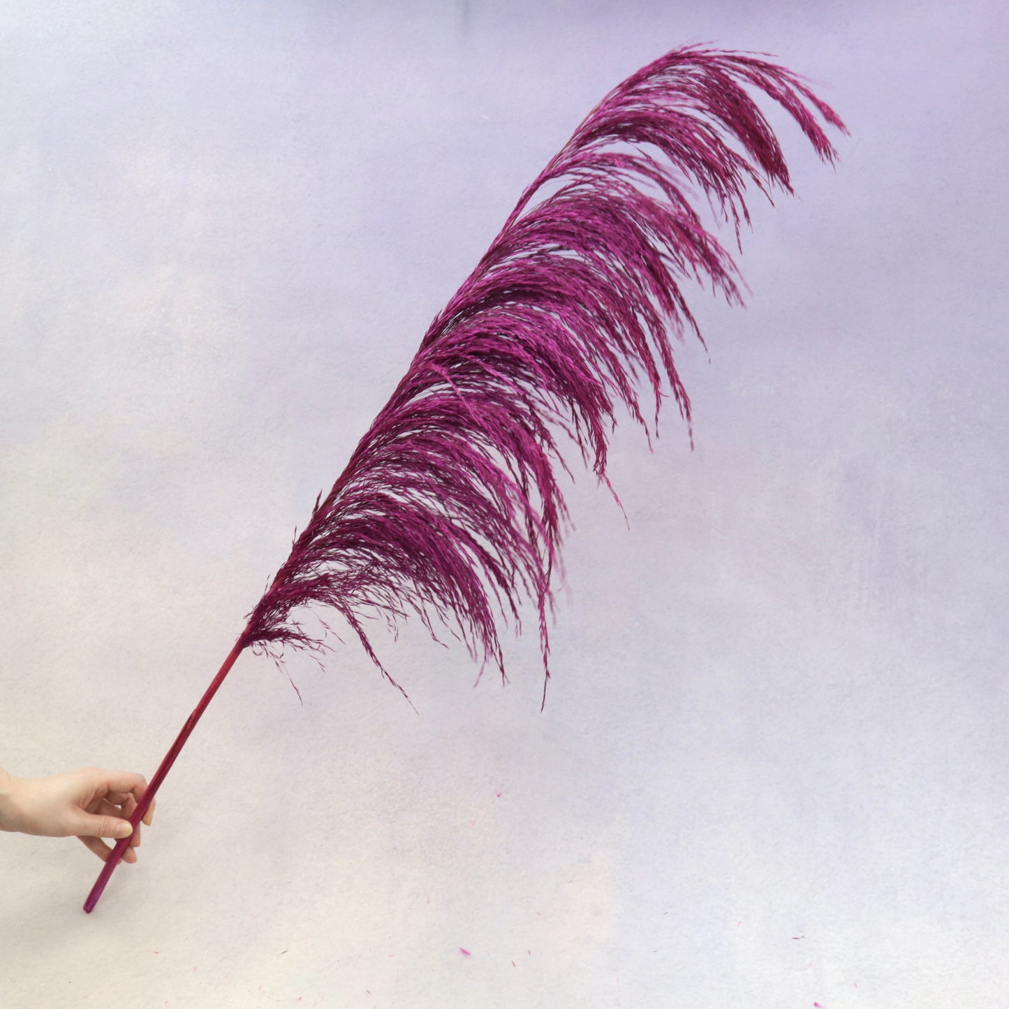 One Side Hanging Pampas Magenta