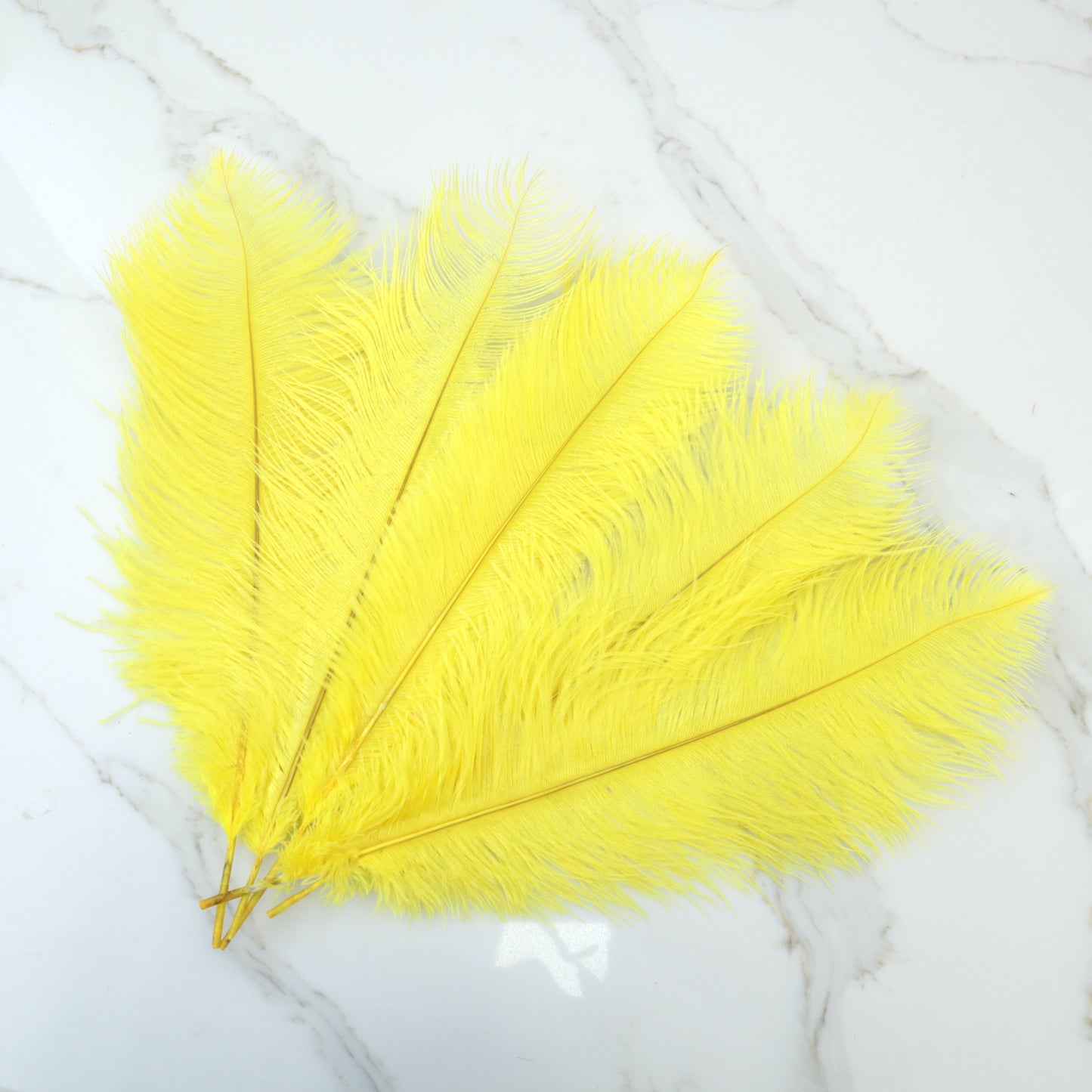 5 pcs Ostrich Feathers Yellow