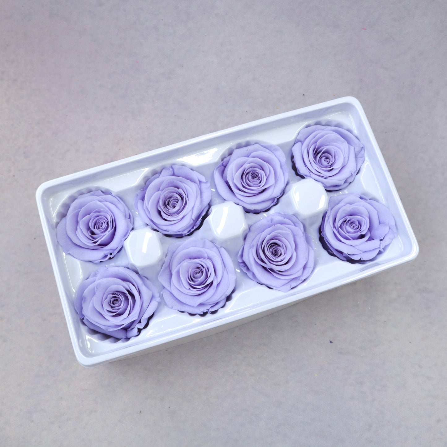 Rose Lilac 8 heads