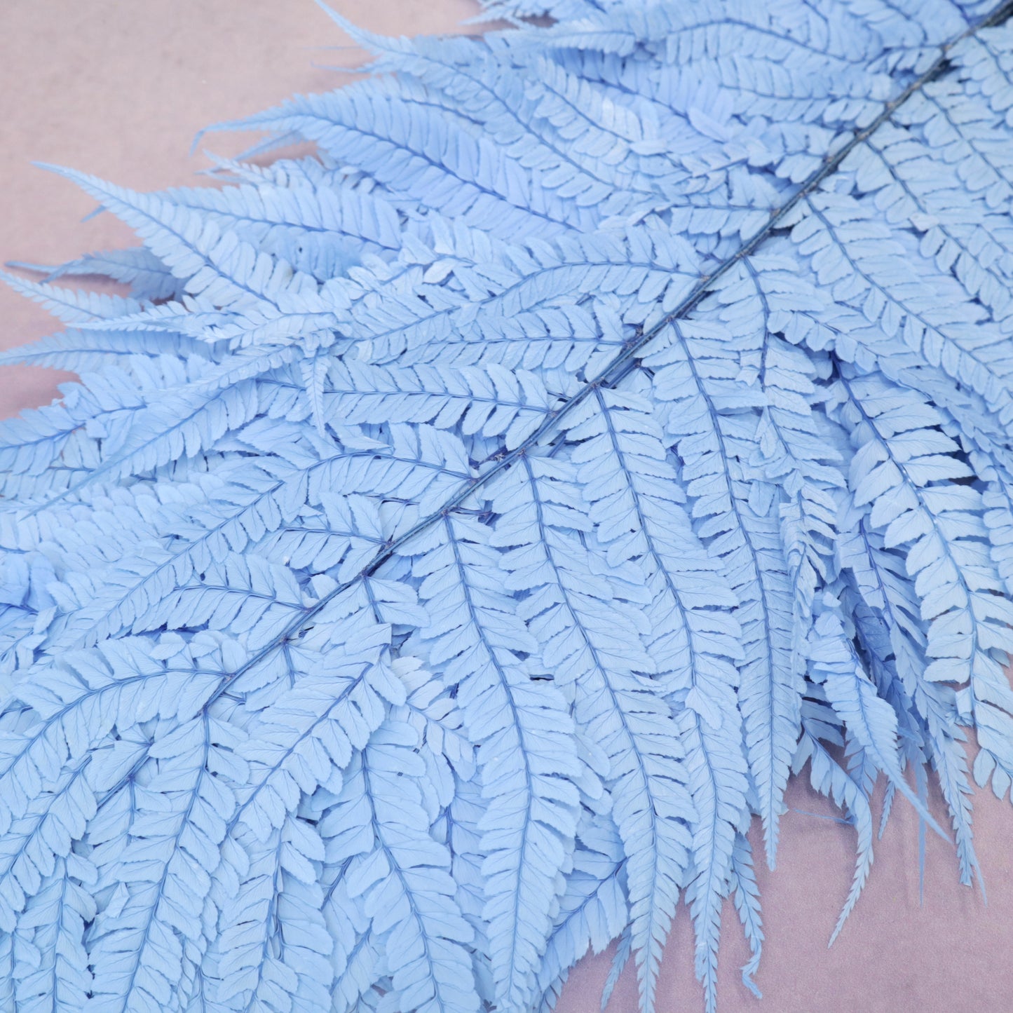 Leather Fern Large Blue