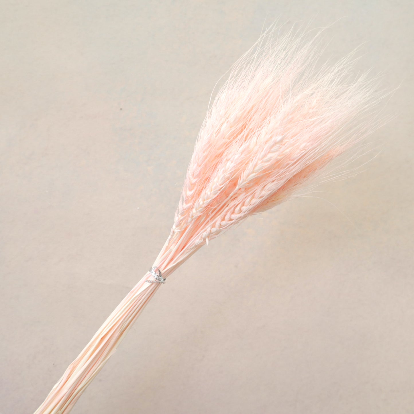 Dried Wheat Pastel Pink