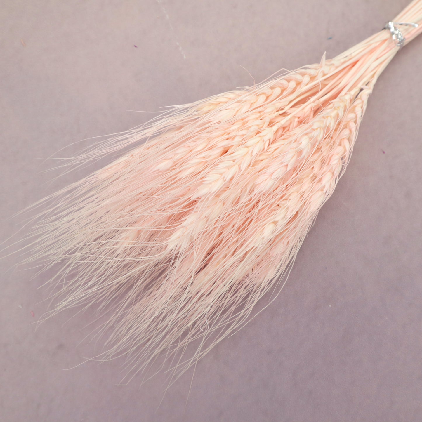 Dried Wheat Pastel Pink