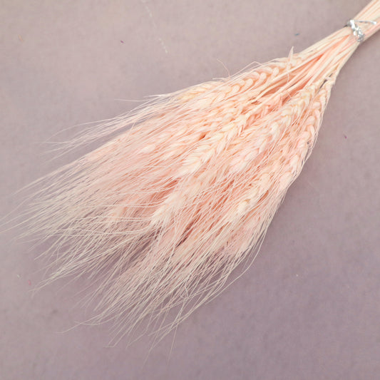 Dried Wheat Pastel Pink