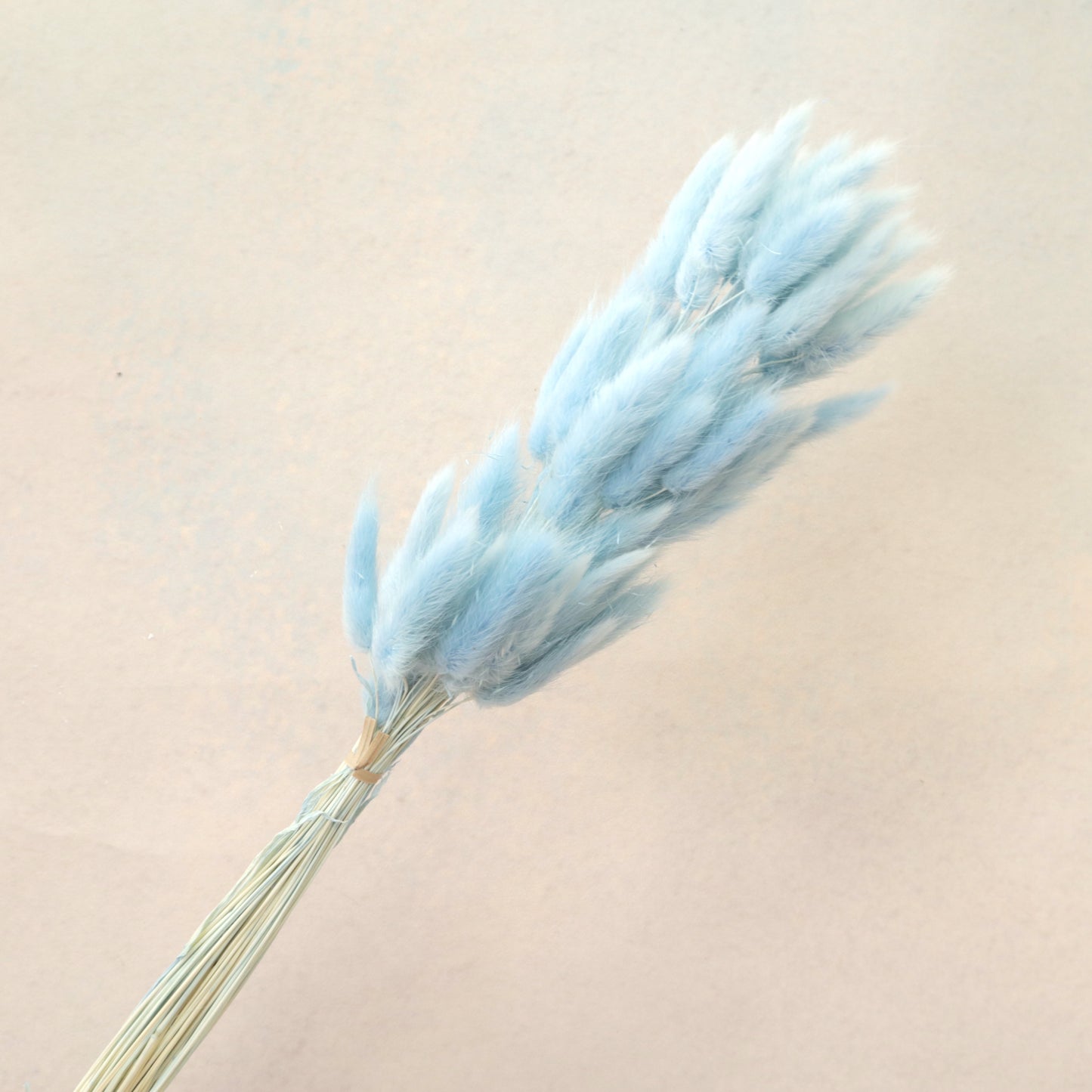 Bunny Tails Baby Blue