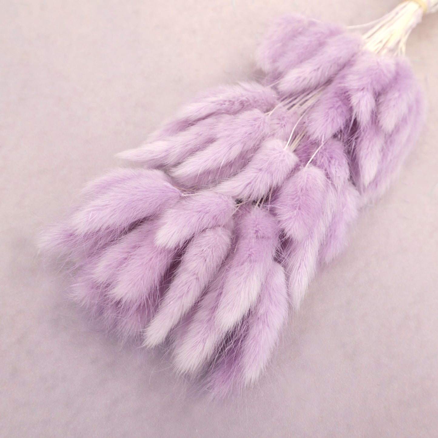 Bunny Tails Lavender