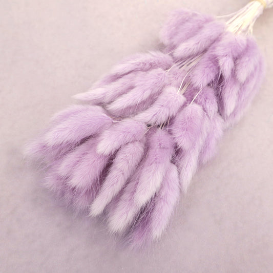 Bunny Tails Lavender