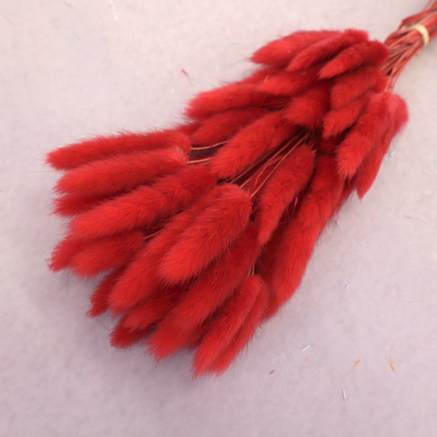 Bunny Tails Scarlet Red