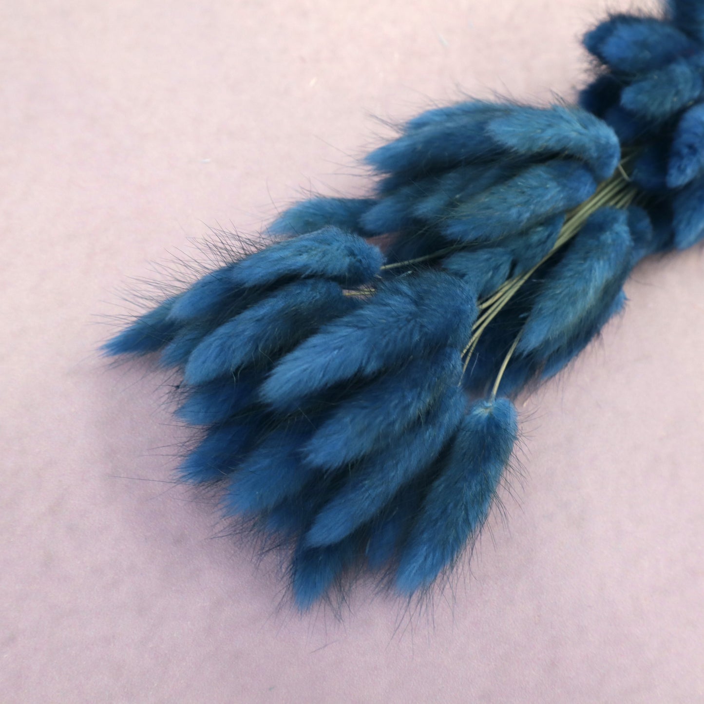 Bunny Tails Deep Blue