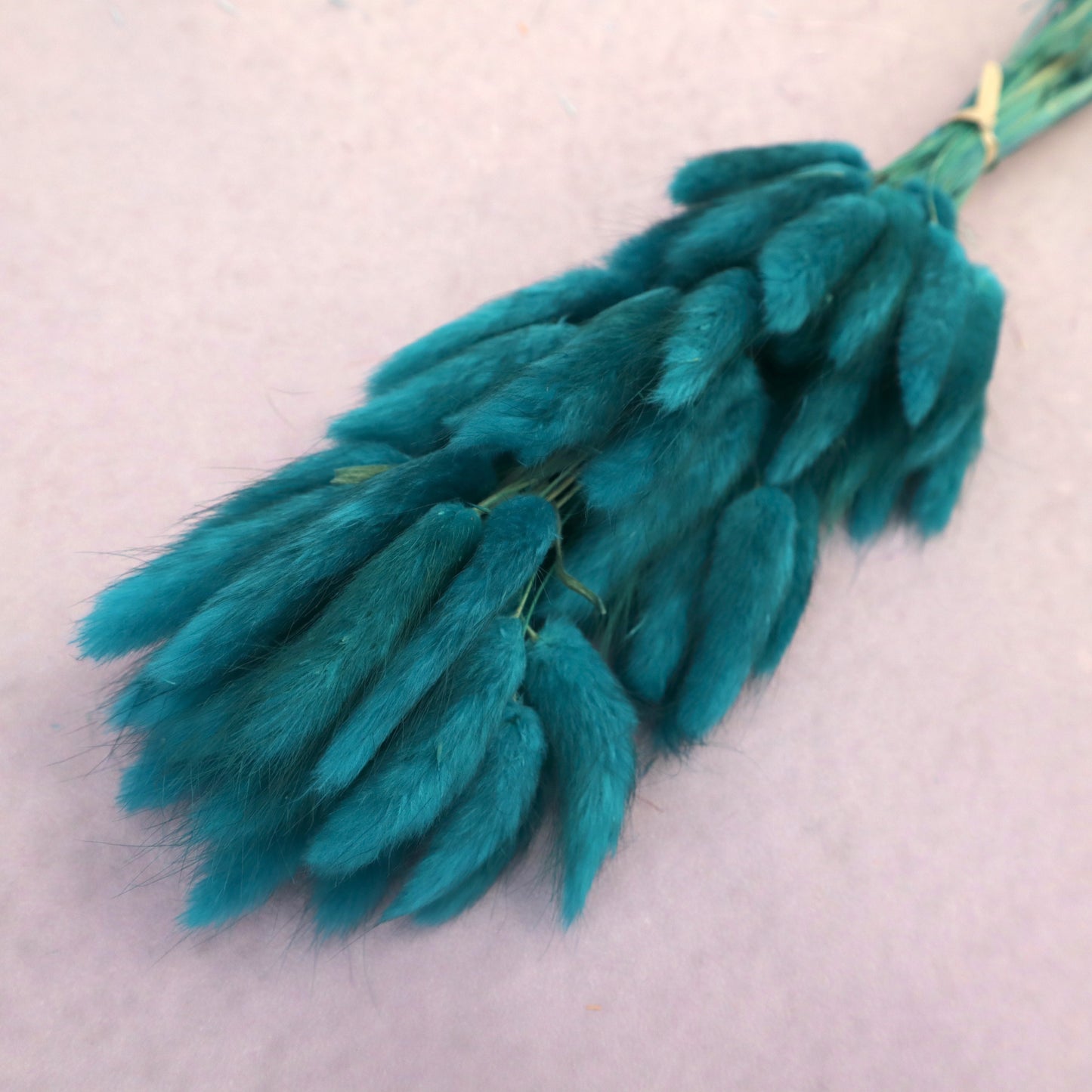 Bunny Tails Teal