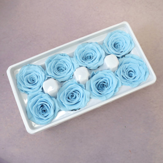 Rose Sky Blue 8 heads