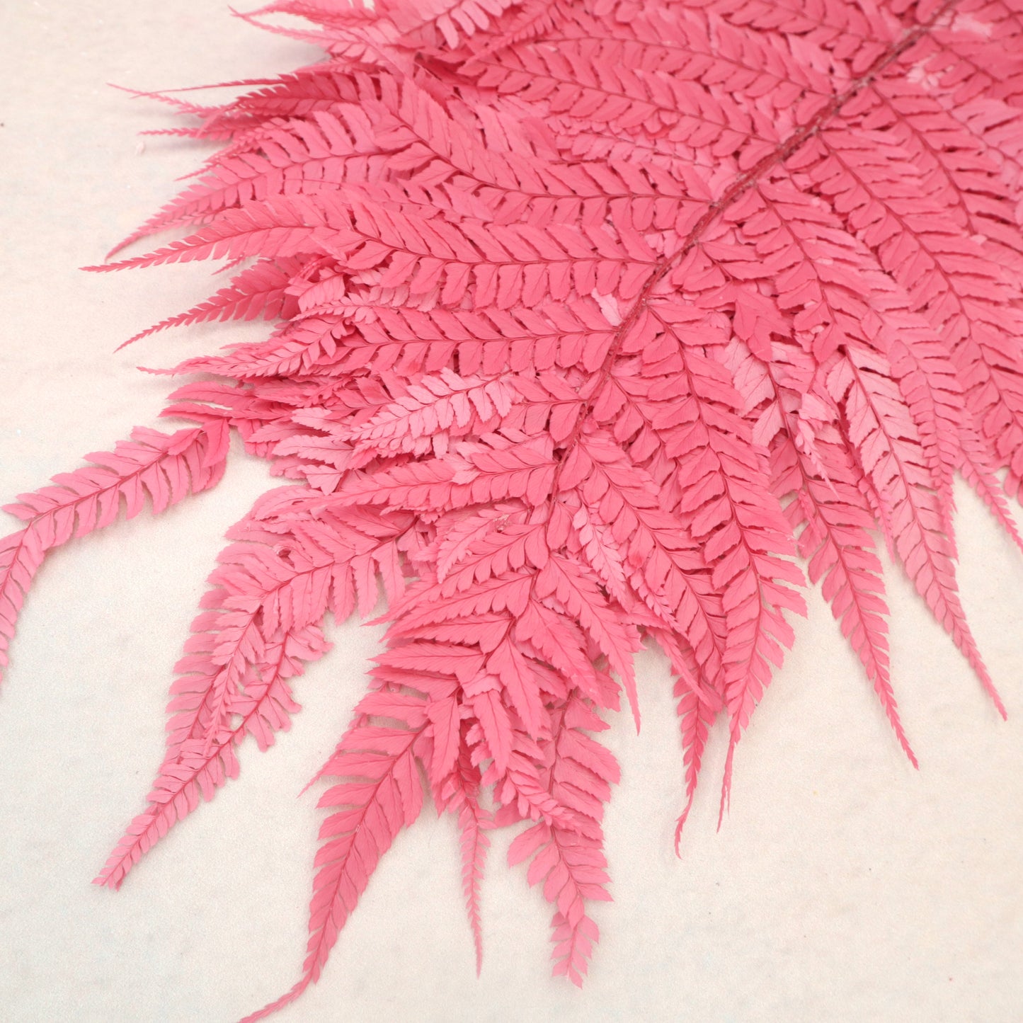 Leather Fern Large Brink Pink