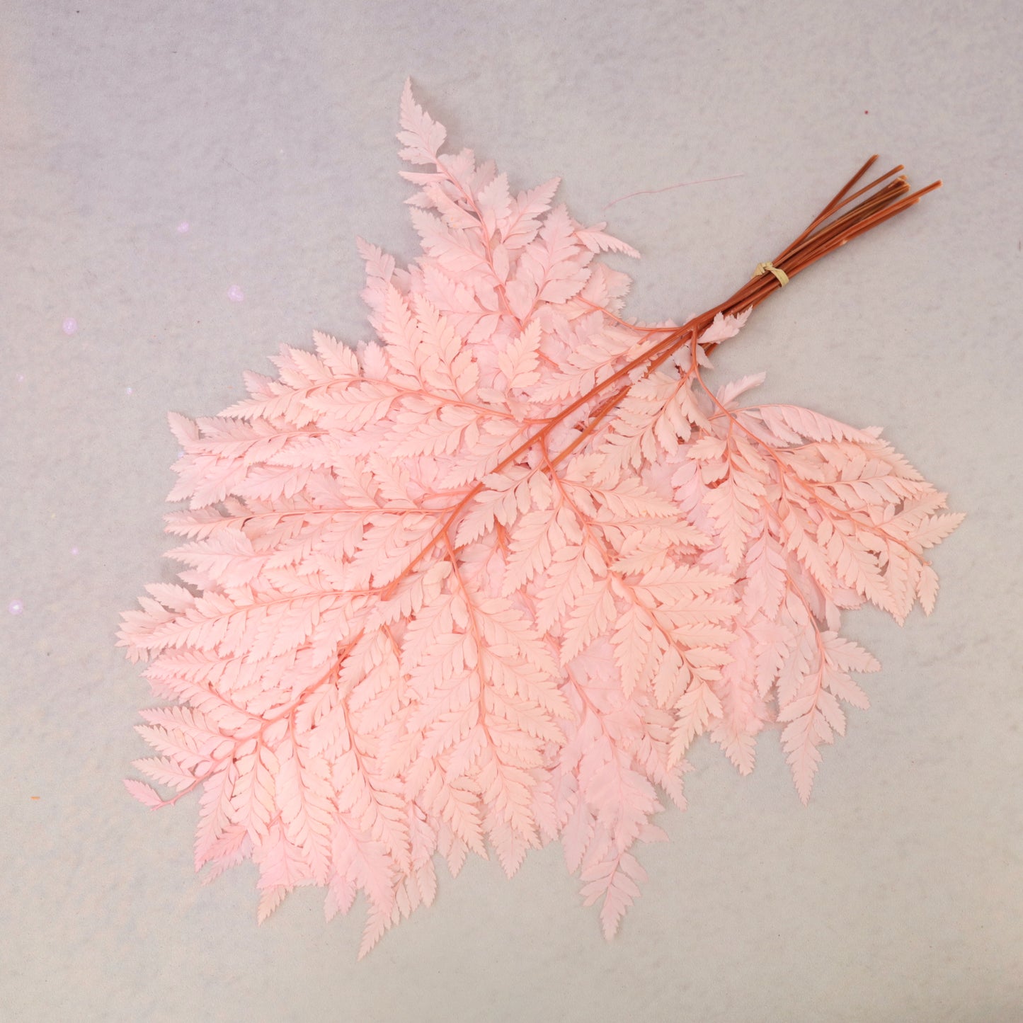 Leather Fern Small Pink