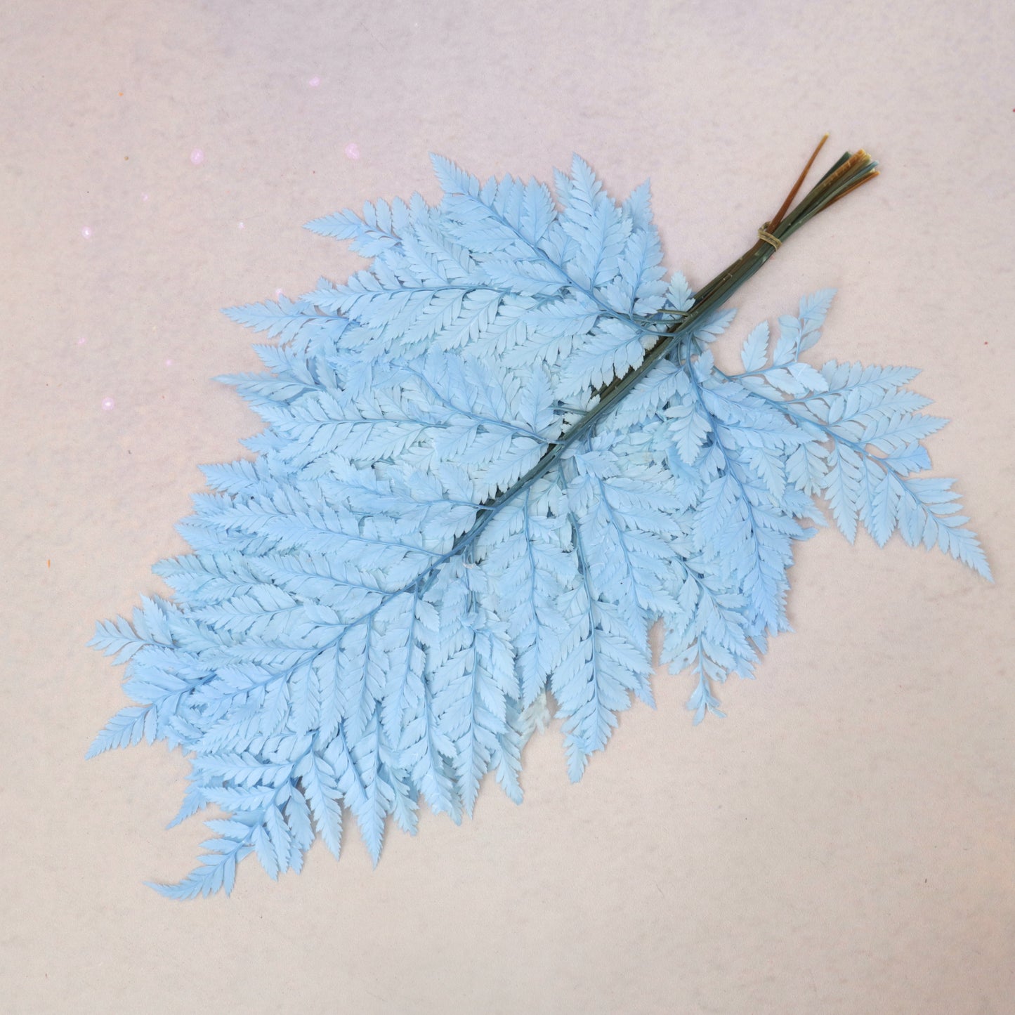 Leather Fern Small Blue