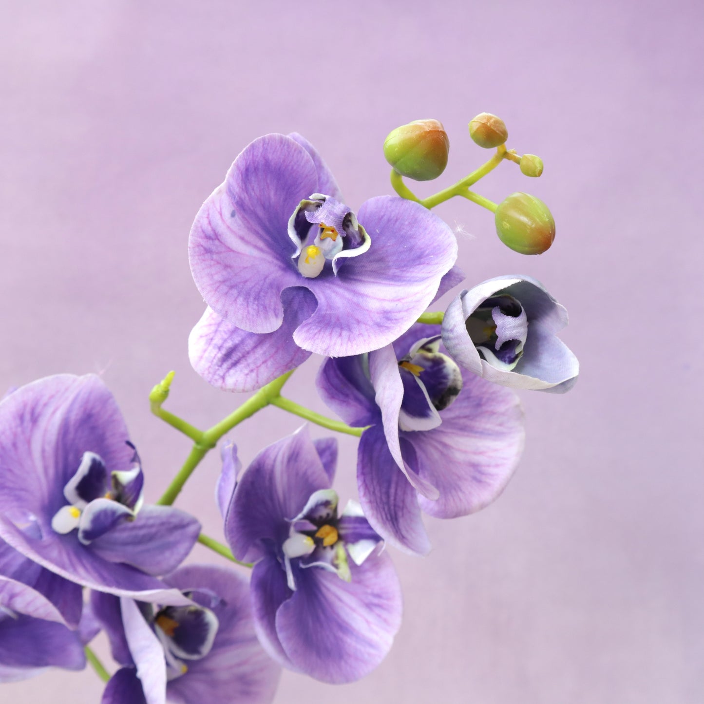 Artificial Real Touch Orchid (28)