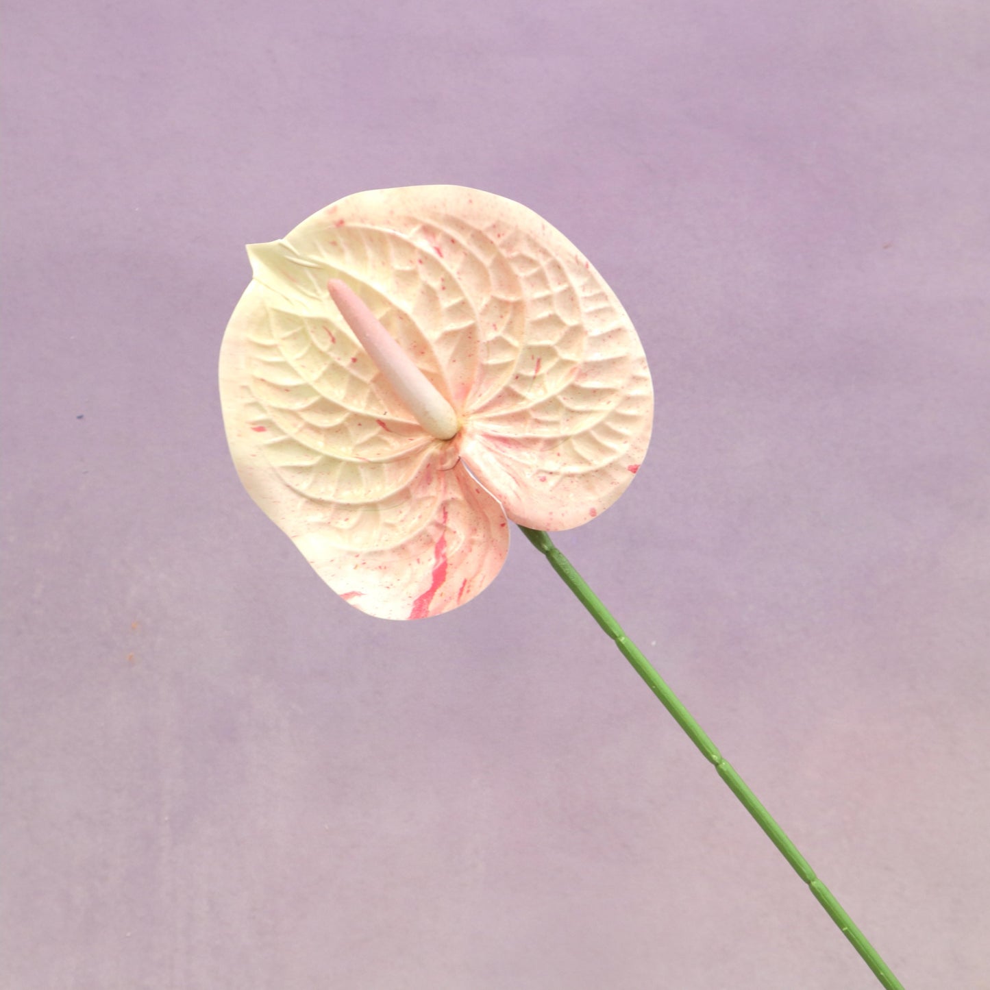 Artificial Anthurium Pastel Pink