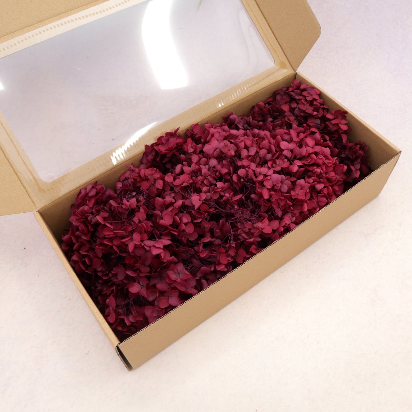 Annabelle Hydrangea 100g Box Burgundy