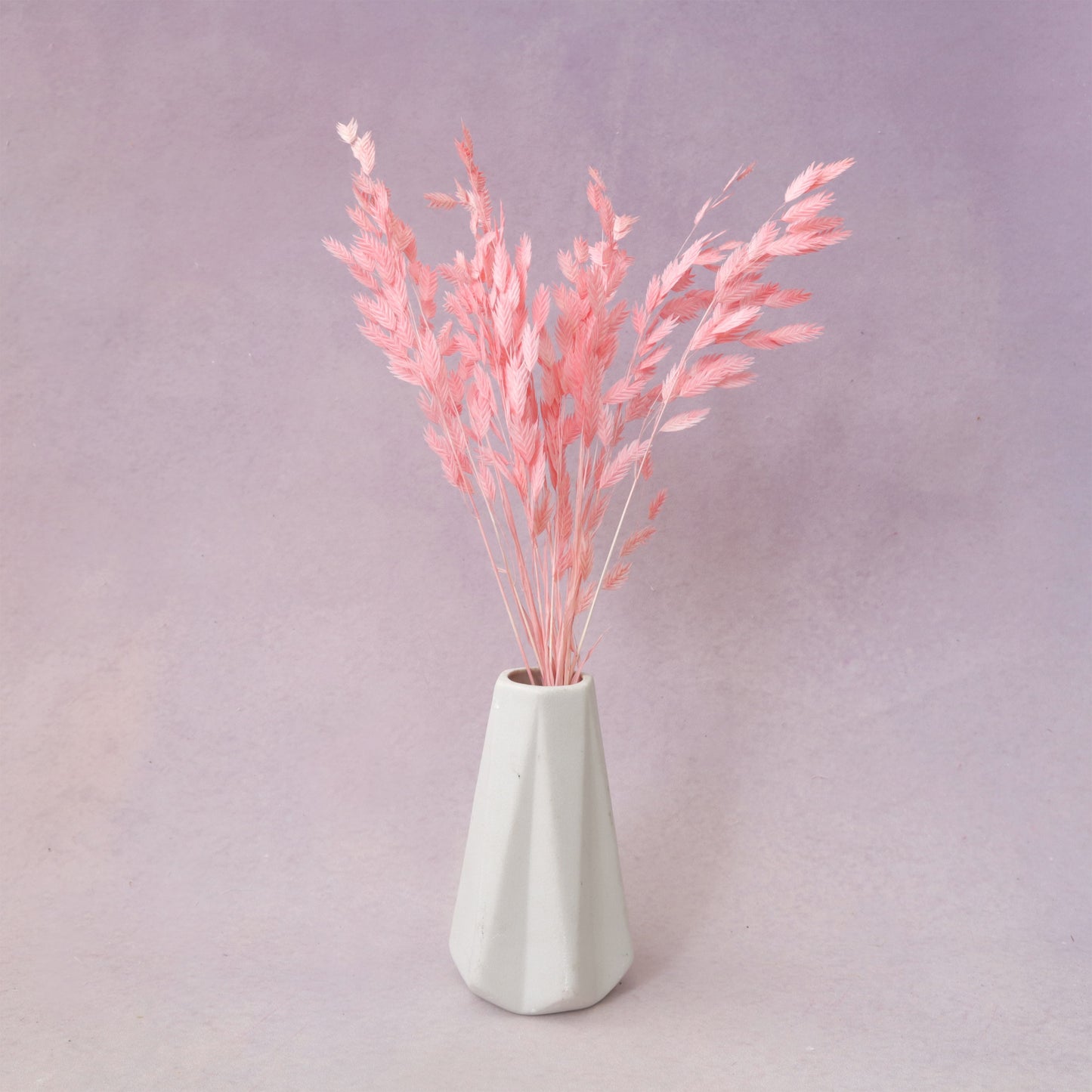 Sea Oats Neon Pink