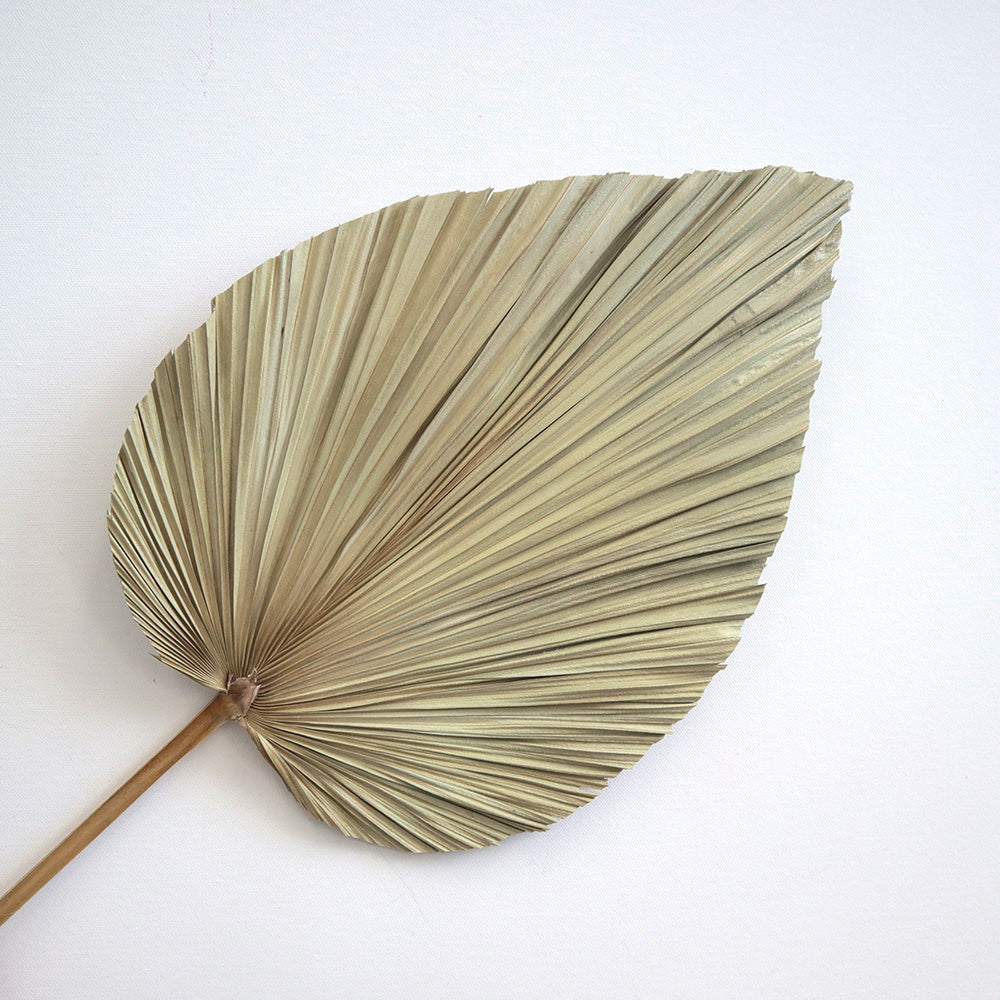 Palm Leaf Large Natural