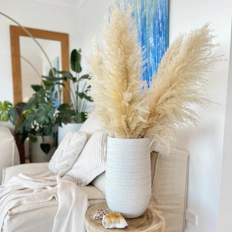 Pampas Grass Natural